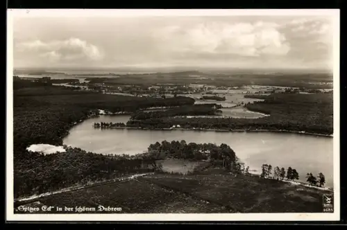 AK Dubrow, Spitzes Eck, Luftaufnahme, See, Waldlandschaft