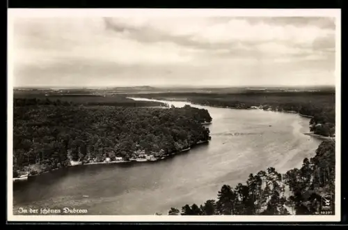 AK Dubrow, Wald- und Seenlandschaft vom Flugzeug aus