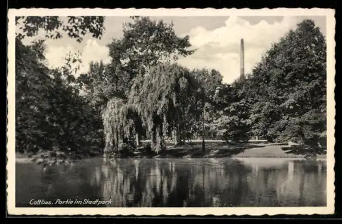 AK Cottbus, Partie im Stadtpark
