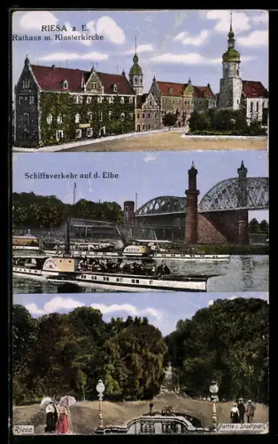 AK Riesa a. E., Rathaus mit Klosterkirche, Schiffsverkehr auf der Elbe, Partie im Schlosspark
