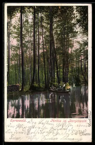 AK Lübbenau /Spreewald, Partie im Bürgerwald