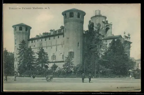 AK Torino, Palazzo Madama con torri storiche e alberi sullo sfondo