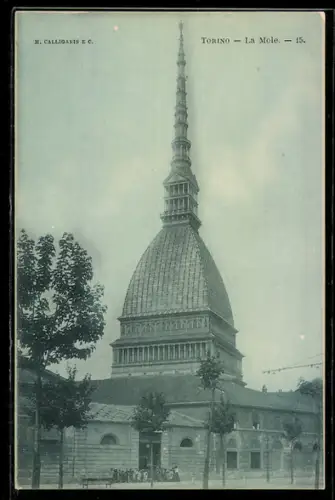 AK Torino, La Mole Antonelliana e alberi in primo piano
