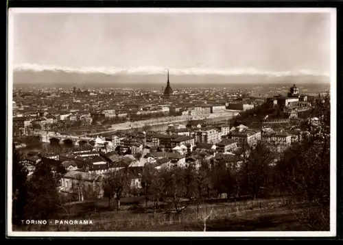 AK Torino, Panorama con vista sulla città e la Mole Antonelliana