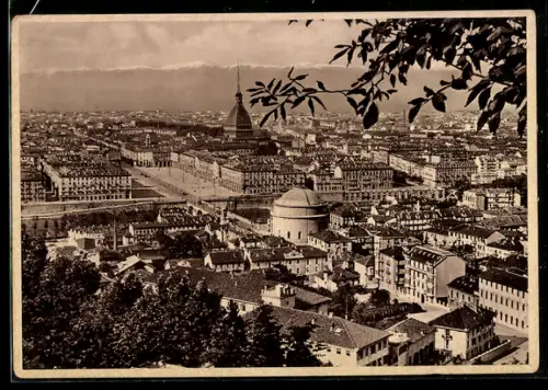 AK Torino, Panorama Generale