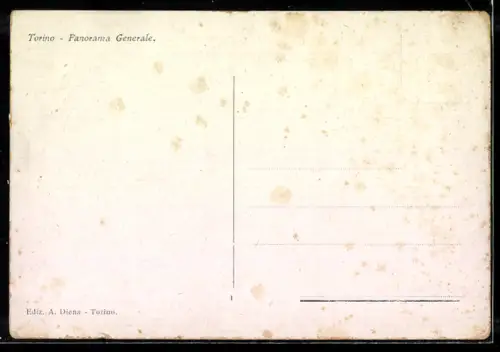 AK Torino, Panorama Generale