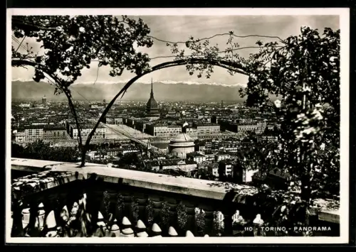 AK Torino, Panorama con vista sulla città e la Mole Antonelliana