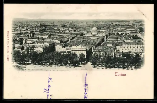 AK Torino, Vista panoramica della città con edifici storici e alberi in primo piano