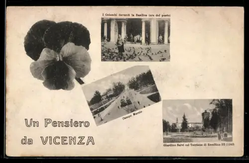 AK Vicenza, I Colombi davanti la Basilica, Campo Marzio e Giardino Salvi col Torrione di Eccelino III