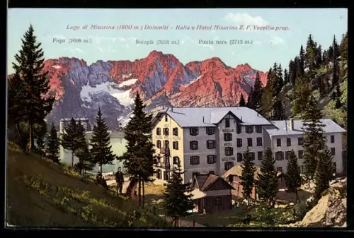 AK Misurina /Dolomiti, Hotel Misurina, E. F. Vecellio propr.