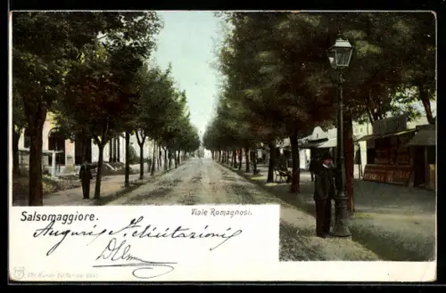 AK Salsomaggiore, Viale Romagnosi con lampioni e alberi lungo la strada