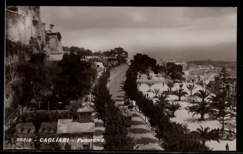 AK Cagliari, Panorama con palme e viale alberato