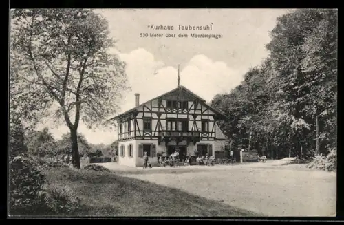 AK Taubensuhl, Kurhaus mit Terrasse und Besuchern