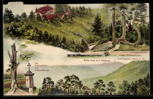 Künstler-AK Trippstadt, Waldkurhaus Johanniskreuz mit Blick nach dem Eschkopf, Kaiser Wilhelmbuche