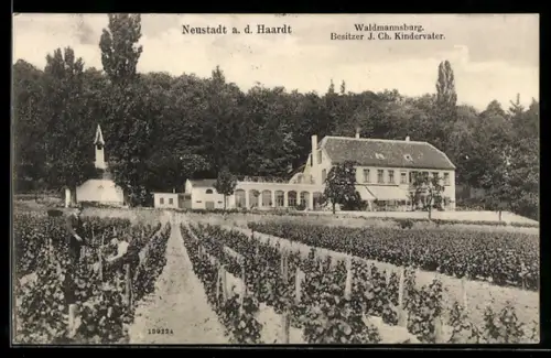AK Neustadt a. d. Haardt, Hotel Waldmannsburg mit Kapelle
