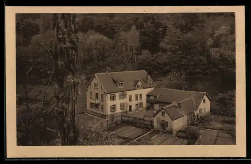 AK Auerbach an der Bergstrasse, Hof Mühltal, Kaffee-Restaurant und Familien-Pension, Besitzer F. Hartz