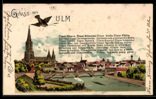 Lithographie Ulm, Totalansicht mit Kirche und Vogel