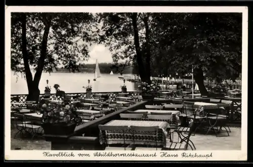 AK Berlin-Spandau, Havelblick vom Schildhornrestaurant Hans Ritzhaupt