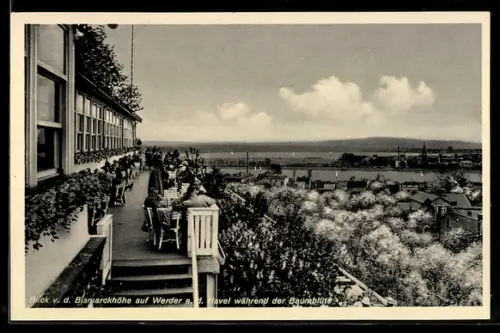 AK Werder a. d. Havel, Blick von der Bismarckhöhe während der Baumblüte