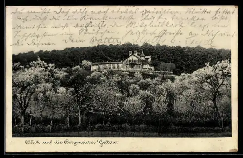 AK Geltow, Bergmeierei, Restaurant Bergmeierei, Inh. G. Riedel, Fruchtweine