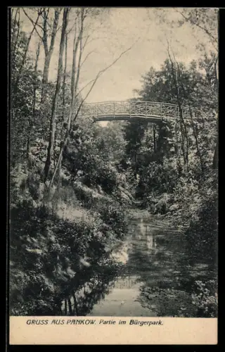 AK Berlin-Pankow, Partie im Bürgerpark