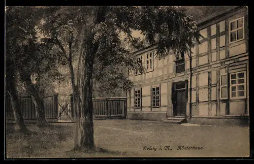 AK Belzig i. M., Küsterhaus in der Aussenansicht mit Bäumen