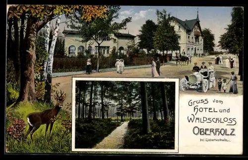 AK Liebertwolkwitz, Hotel & Waldschloss Oberholz