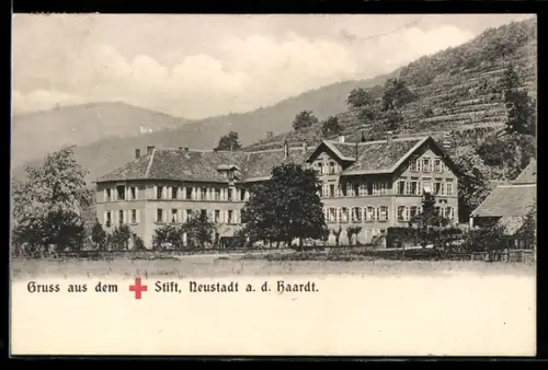 AK Neustadt, Blick zum Rotkreuzstift