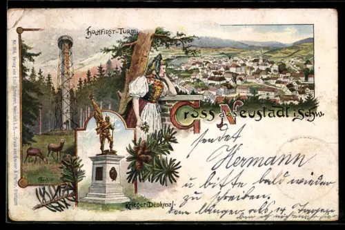 Lithographie Neustadt i. Schw., Teilansicht, Hochfirst-Turm, Krieger-Denkmal