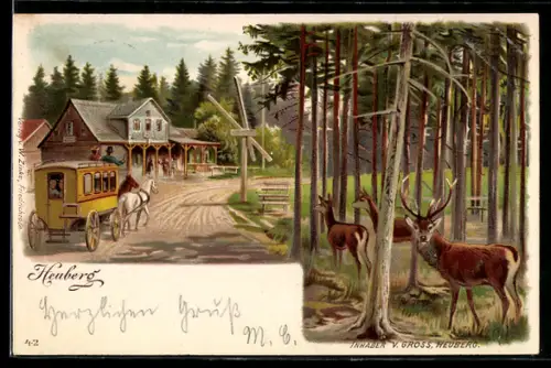 Lithographie Friedrichroda, Gasthaus Heuberg, Postkutsche, Hirsche im Wald