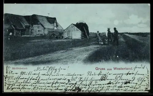 AK Westerland, Alt-Westerland, Bauernhäuser mit Weg