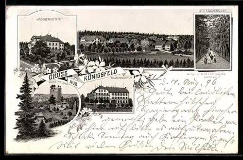 Lithographie Königsfeld / Schwarzwald, Mädchen- und Knabeninstitut, Gottesackerallee, Ruine Waldau