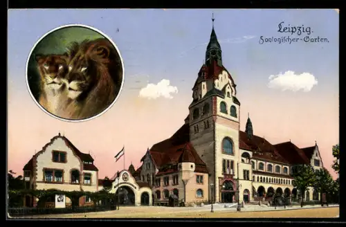 AK Leipzig, Zoologischer Garten, Löwen