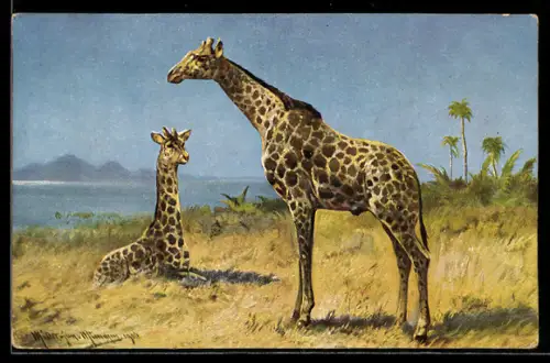 Künstler-AK M. Müller jun.: eine stehende und eine liegende Giraffe, Wasser und Berge