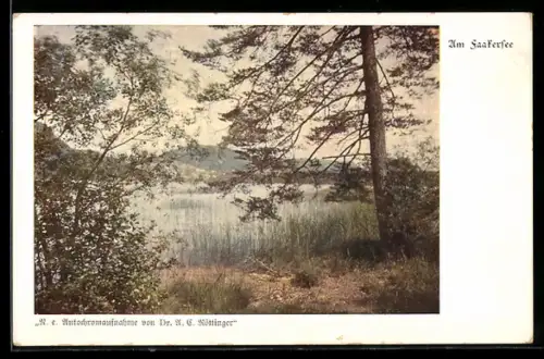 AK Deutscher Schulverein Nr. 631: Am Faakersee, Landidyll