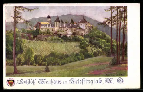 Künstler-AK Deutscher Schulverein Nr. 466: Neuhaus /Triesting, Blick zum Schloss Neuhaus im Triestingtale