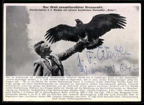 AK Filmtierlehrer J. Wedde mit seinem Steinadler Peter