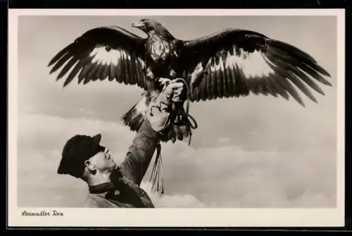 AK Bad Oeynhausen, Falkengarten am Siel, Falkner mit Steinadler Rex