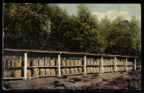 AK Bienenstand in der Heide
