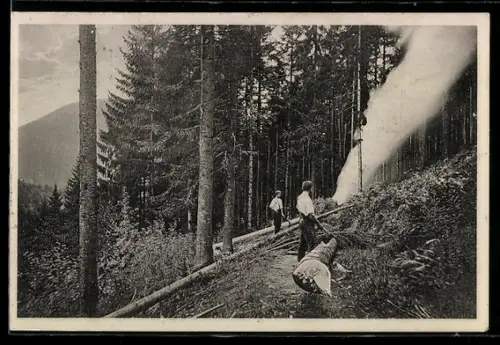 AK Köhler im Wald mit umgestürztem Baum