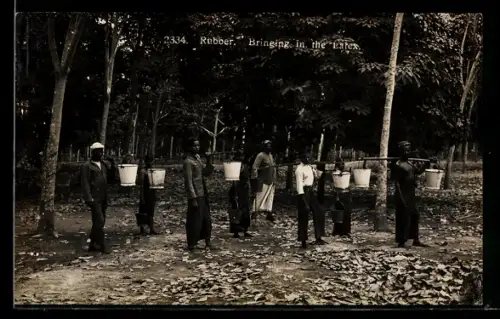 AK Bringing in the Latex