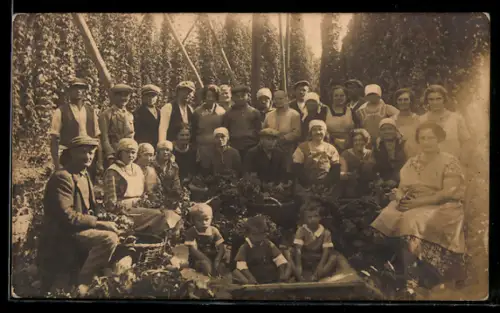 Foto-AK Frauen, Männer und Kinder bei der Weinernte