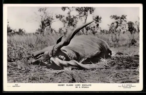 AK Erlegte Beute nach der Jagd