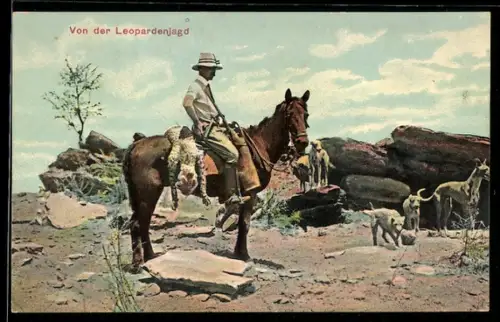 Foto-AK Jäger auf Pferd mit erlegtem Leoparden und Jagdhunden