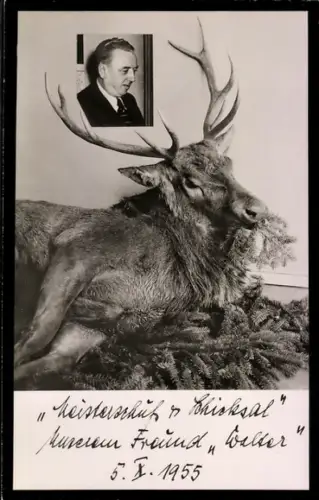 Foto-AK Erlegter Hirsch mit Portrait eines Mannes