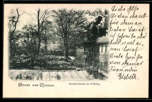 AK Weimar, Goethe-Garten im Frühling