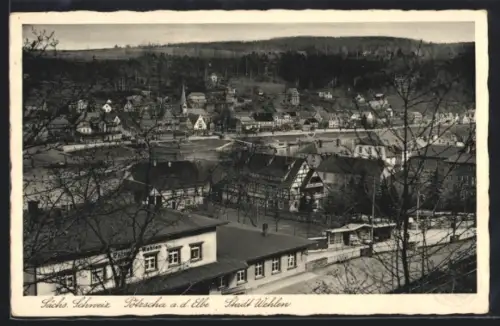 AK Wehlen, Teilansicht mit Elbe