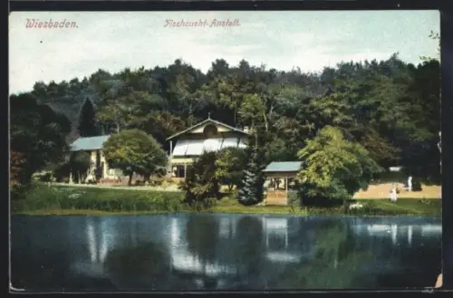 AK Wiesbaden, Gasthof Fischzucht-Anstalt