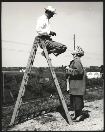 Fotografie Interfoto, Venezia, Schauspielerin Maria Schell und ihr Verlobter Horst Hächler auf einer Leiter, 21 x 27cm