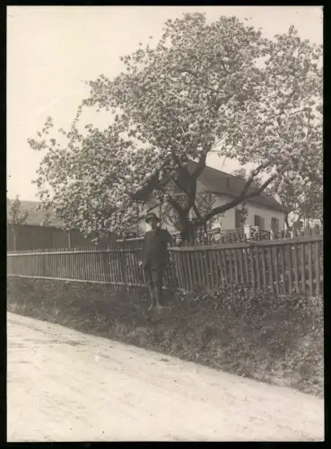 Fotografie Ansicht Hadersfeld, Ortspartie mit einem Mann der unter einem blühenden Baum steht